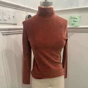 Everlane velour turtleneck in Stucco Brown